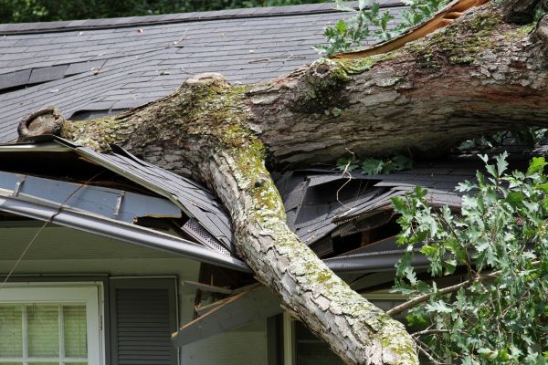 Storm Remediation in Buford