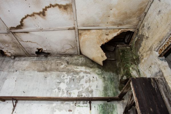 Water Damage Service in Buford