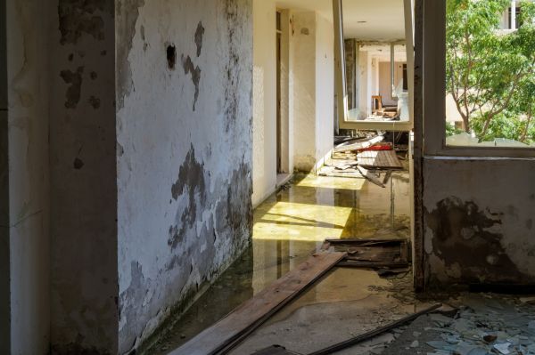 Cost of Water Removal Service in Buford