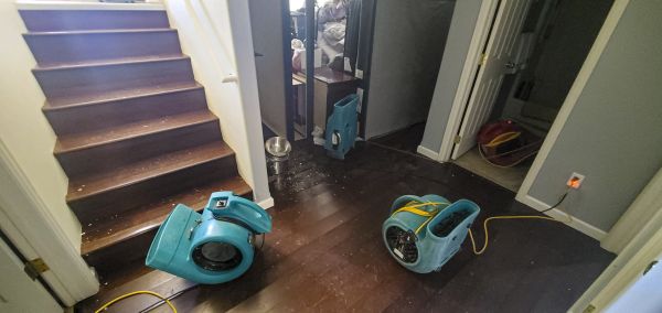 Water Damage Remediation in Buford