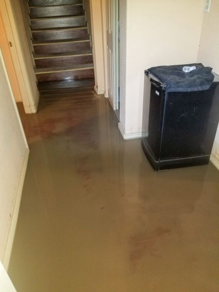 Cost of Emergency Water Removal in Buford