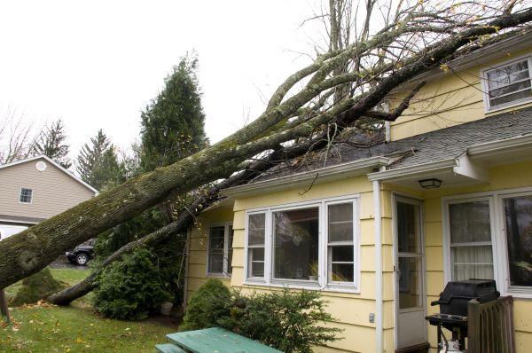 Hurricane Damage Repair in Buford