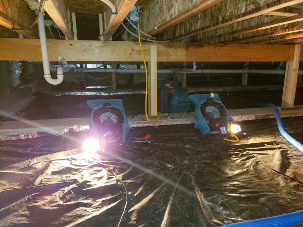 Cost of Crawlspace Water Removal in Buford