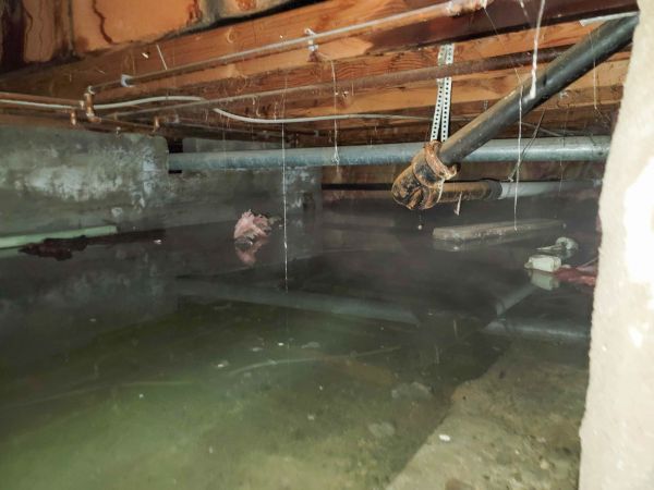 Cost of Crawlspace Water Restoration in Buford
